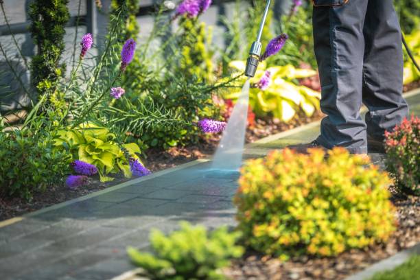 Best Residential House Exterior Washing  in USA